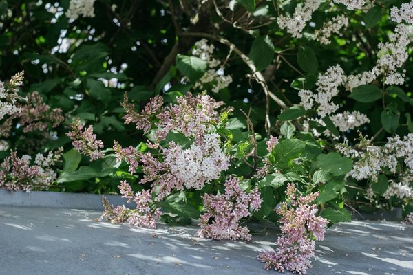 What are the benefits of installing solar panels on my UK home?